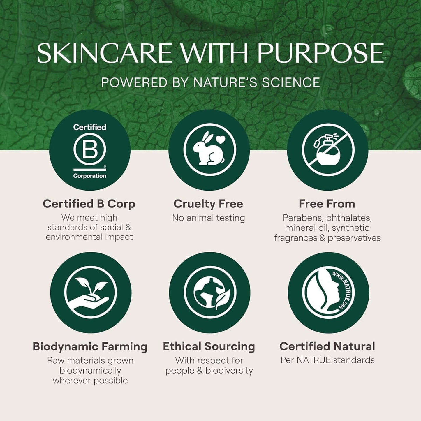 - Skin Food Light Moisturizing Cream 3-Pack - Fast-Absorbing, Ultra-Hydrating Formula with Sunflower Oil and Pansy Extract