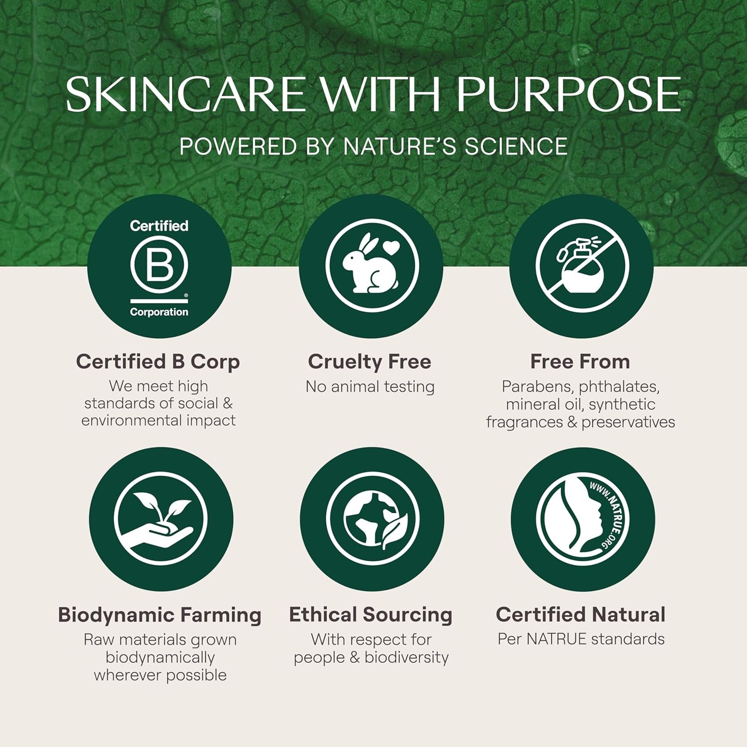 - Skin Food Light Moisturizing Cream 3-Pack - Fast-Absorbing, Ultra-Hydrating Formula with Sunflower Oil and Pansy Extract