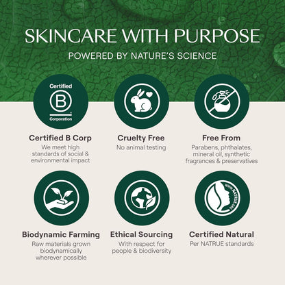 - Skin Food Light Moisturizing Cream 3-Pack - Fast-Absorbing, Ultra-Hydrating Formula with Sunflower Oil and Pansy Extract